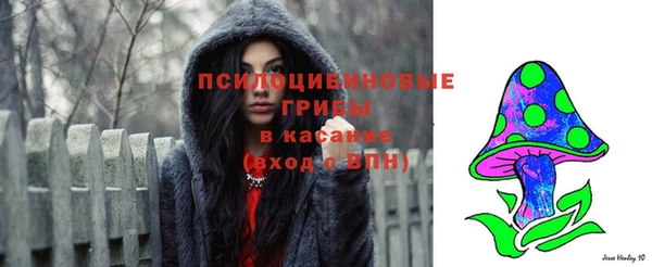 дурь Алексеевка
