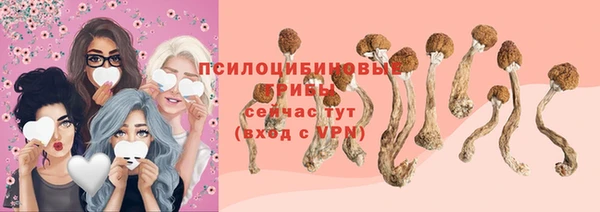 дурь Алексеевка