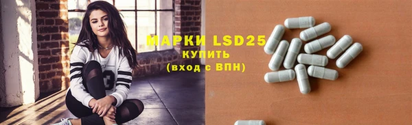 гашик Аркадак