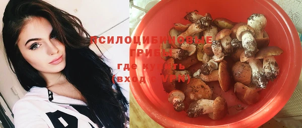 молекула духа Алексин